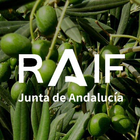 RAIF Andalucía simgesi
