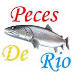 Guia de Peces de Río أيقونة