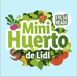 Minihuerto de Lidl