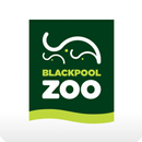 Blackpool Zoo - Official App APK