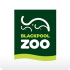 Blackpool Zoo أيقونة