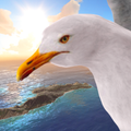 CIES 3D