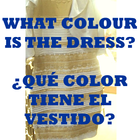 COLOR VESTIDO COLOUR DRESS 아이콘