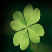 Your lucky clover