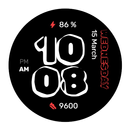WES12 - Vinyl Watch Face APK