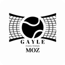 Gayle Padel Club APK