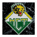 HC Thurgau APK