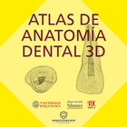 ATLAS DE ANATOMÍA DENTAL 3D icône