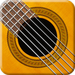 ikon GuitarFlex