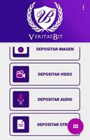 VeritasBit ảnh chụp màn hình 2