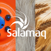 Salamaq APK
