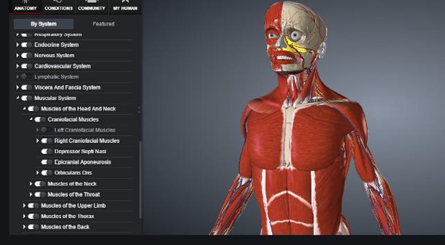 The Human Body In 3d Human Anatomy For Android Apk Download