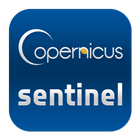 Copernicus Sentinel icône