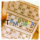 Tambola Number Приложение для вызывающего абонента иконка