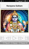Vedic Chants capture d'écran 3