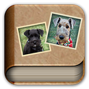 Photo Album Live Wallpaper aplikacja
