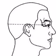 TCM Acupuncture Index/Acupoint Icon