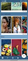 HD Ethiopian - Wallpapers Plakat