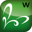 catkin WE иконка