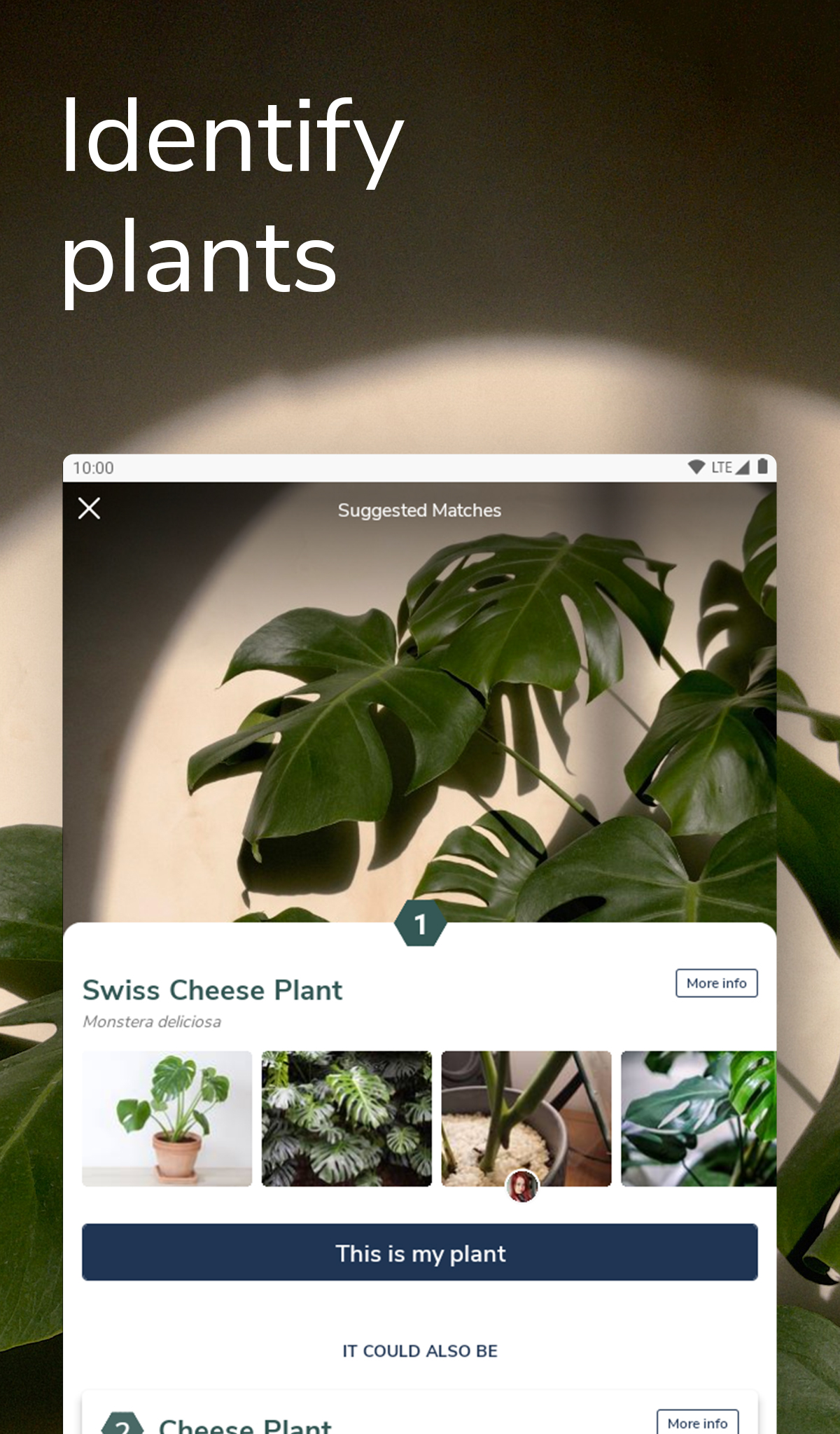 Candide – inspiration for plant lovers everywhere APK 2.20.0 Download for Android – Download ...