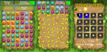 Eggs Balls Dash Game