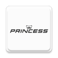 Princess Motor Yachts