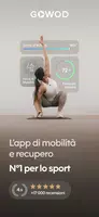 Poster GOWOD
