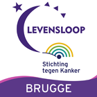 Levensloop Brugge icône