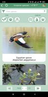 Invasive Alien Species Europe syot layar 1
