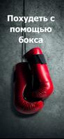 Бокс - тренировки постер