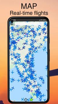 Air Traffic 海报