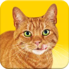 Friskies® Call Your Cat APK download