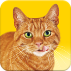 Friskies® Call Your Cat icône
