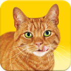 آیکون‌ Friskies® Call Your Cat