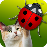 Friskies® JitterBug