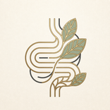 Healthy Gut 365