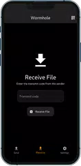 download Wormhole File Transfer XAPK