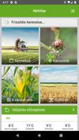 GazdaInfo Bayer Termékkat. ポスター