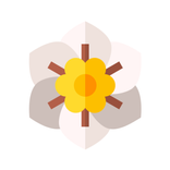 Gardenia