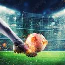 EUROPEANS CORRECT SCORES APK