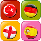 Countries and flags memory gam icon