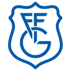 Gipuzkoako Futbol Federazioa ikon