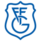 Gipuzkoako Futbol Federazioa icono