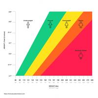BMI Calculator ภาพหน้าจอ 2