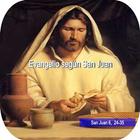 Evangelio según San Juan ícone