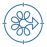 Health and Care Workforce