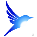 Actively Moving Forward AMF APK