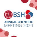 BSH Conferences APK