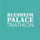 Blenheim Palace Triathlon APK