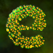 Everlution：Spore & Bacteria io